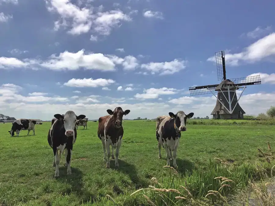 Zo werkt de eeuwigdurende kringloop