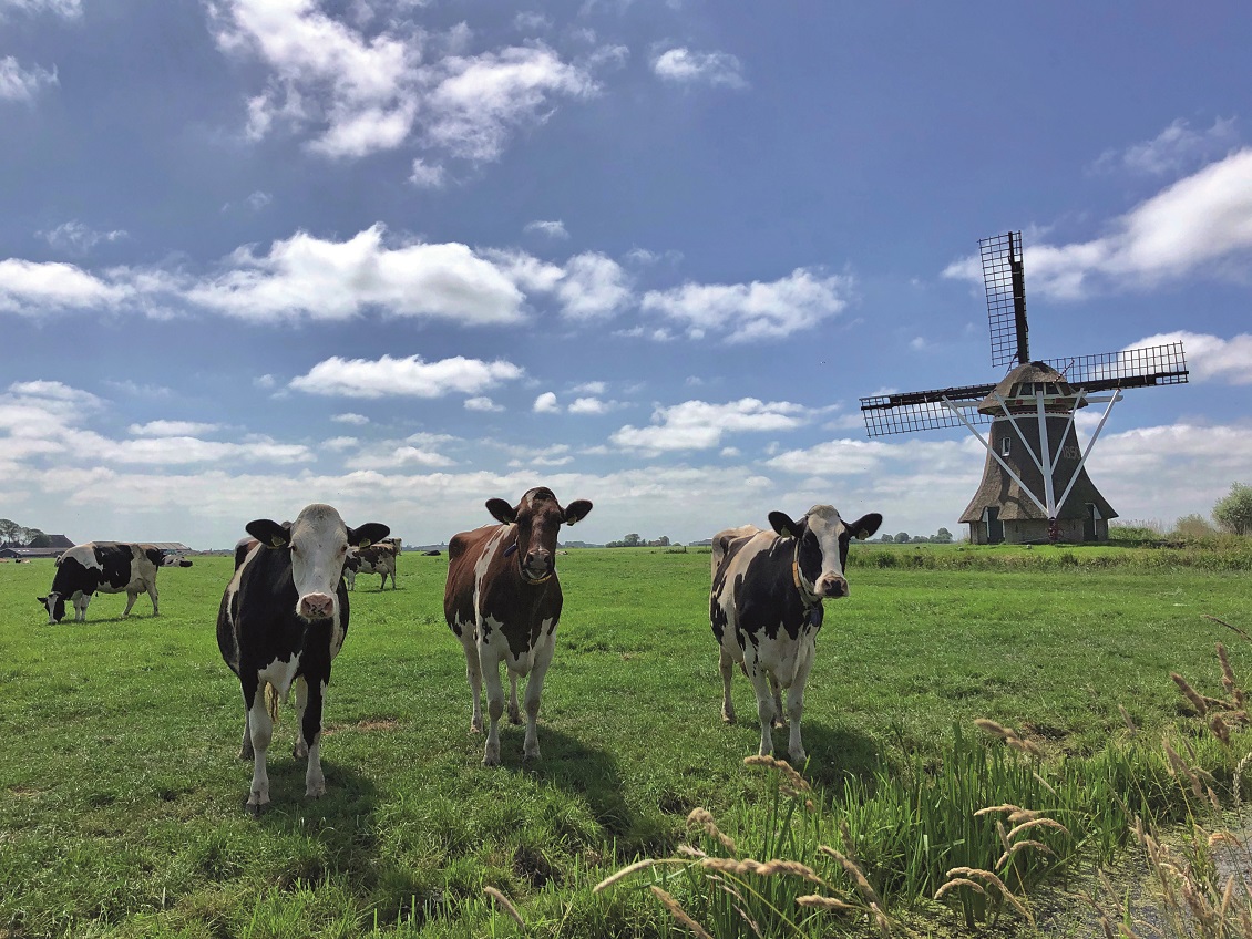 Zo werkt de eeuwigdurende kringloop