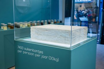 Kennis over koolhydraten