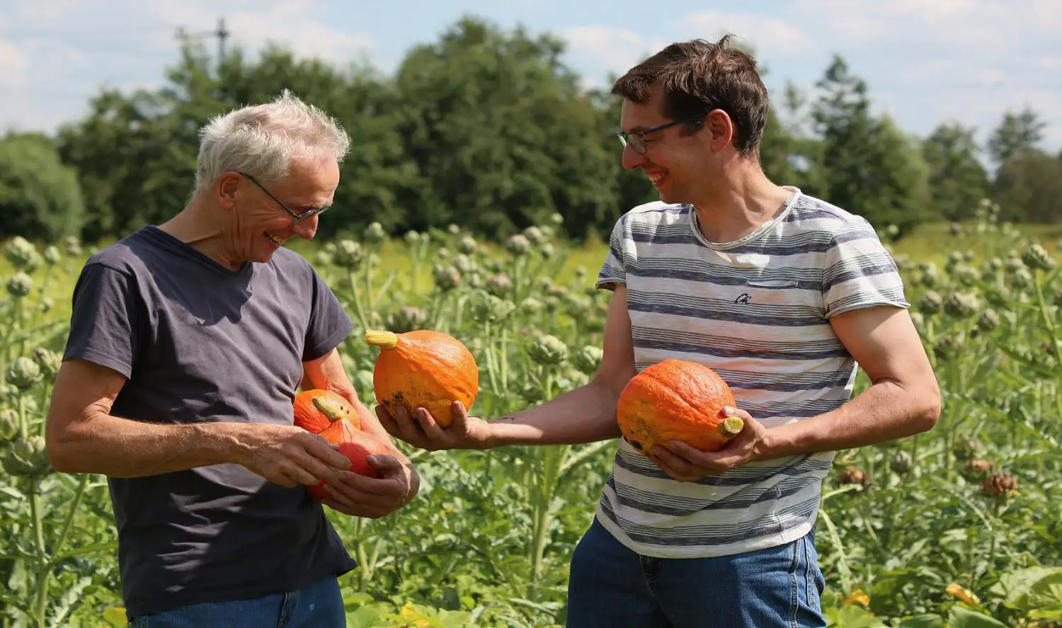 ekoplaza-biologisch-lekkerweten-herfst2023-overesch-pompoenen
