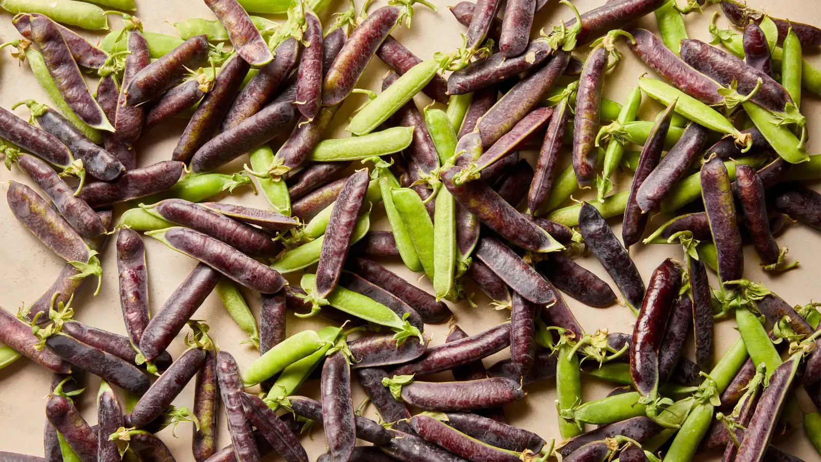 Ekoplaza enige super die meer plantaardige dan dierlijke eiwitten verkoopt