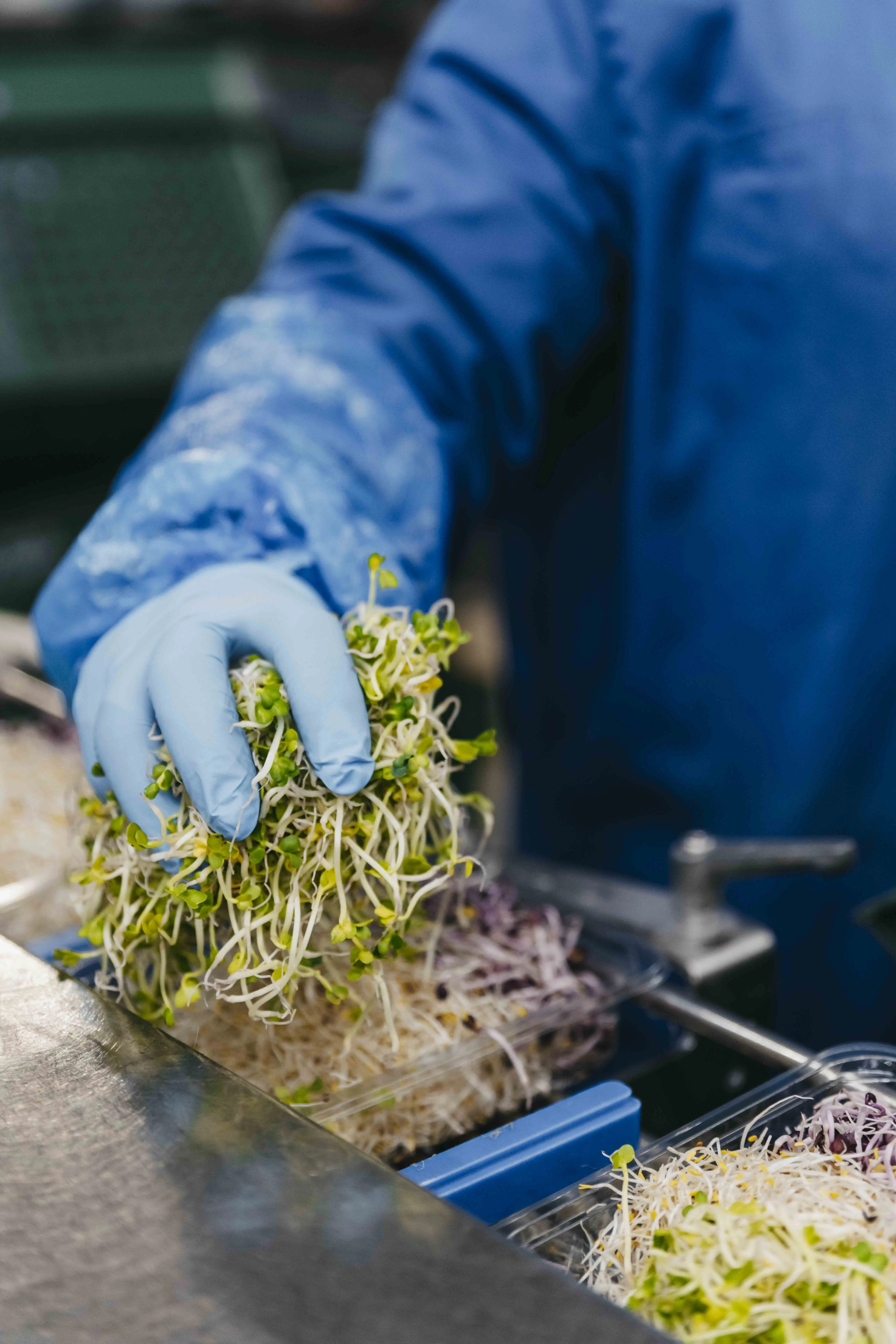 ekoplaza-biologisch-lekkerweten-lente2024-kiemen-vanderplas-hand