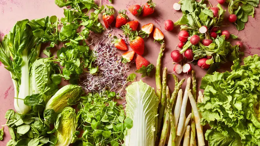 ekoplaza-biologisch-lekkerweten-lente2025-seizoensgroente