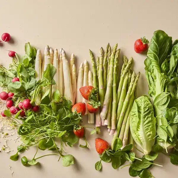 ekoplaza-biologisch-lekkerweten-lente2026-seizoensgroenten