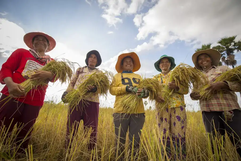 ekoplaza-biologisch-lekkerweten-winter2023-jasmijnrijst-cambodja