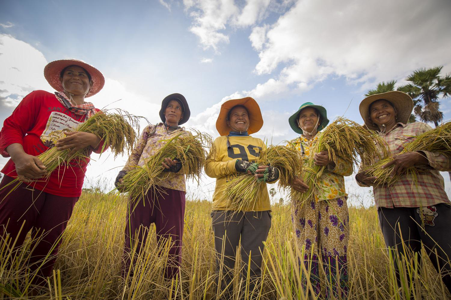 ekoplaza-biologisch-lekkerweten-winter2023-jasmijnrijst-cambodja