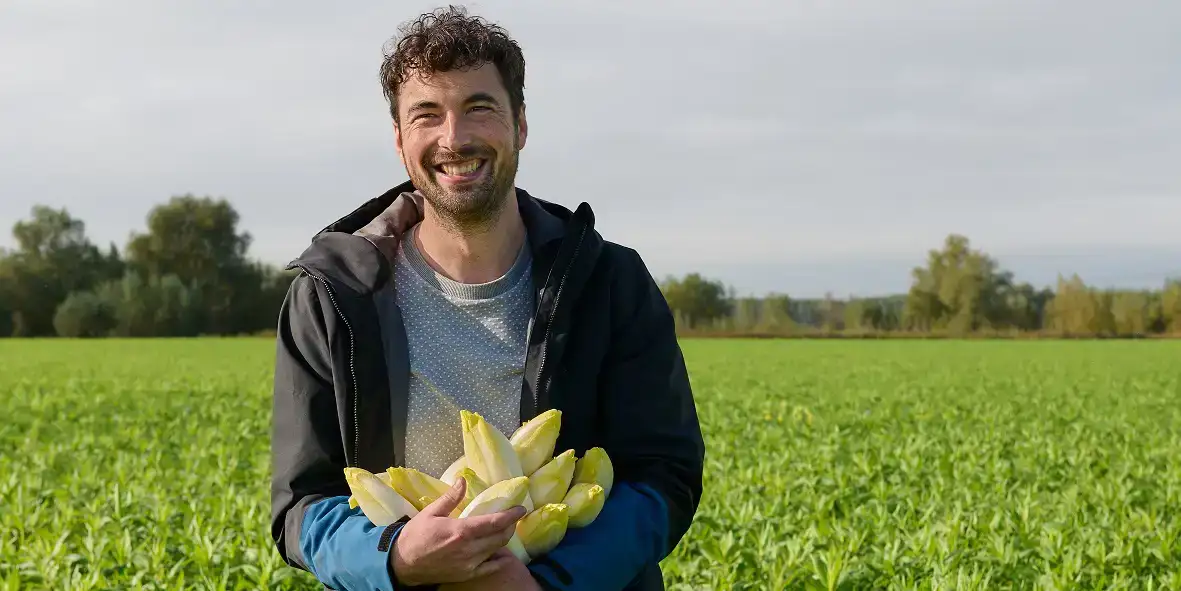 ekoplaza-biologisch-lekkerweten-winter2025-leonardreedijk-nieuwbonaventura-witlof