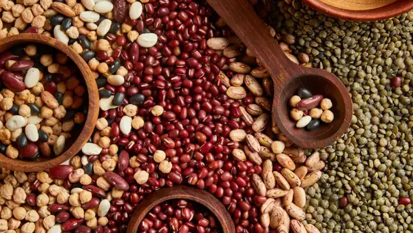 ekoplaza-biologisch-lekkerweten-winter2025-peulvruchten