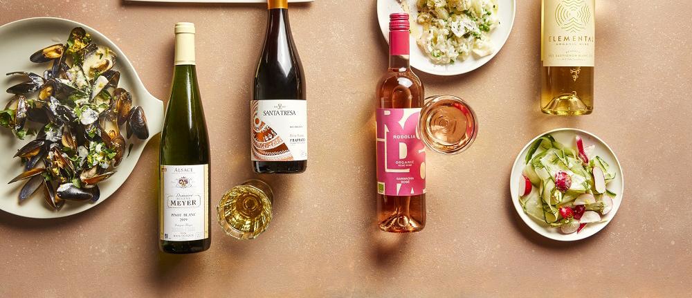 ekoplaza-biologisch-azulygaranza-wijnbouwers-wijngaard