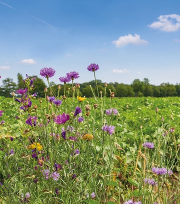 Gifvrij is een keuze