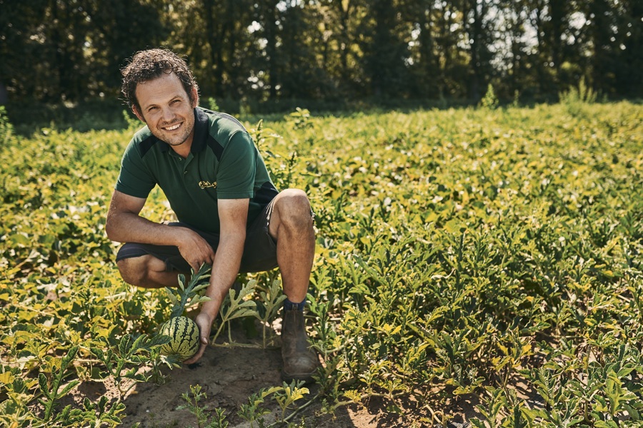 Tegendraadse watermeloenen