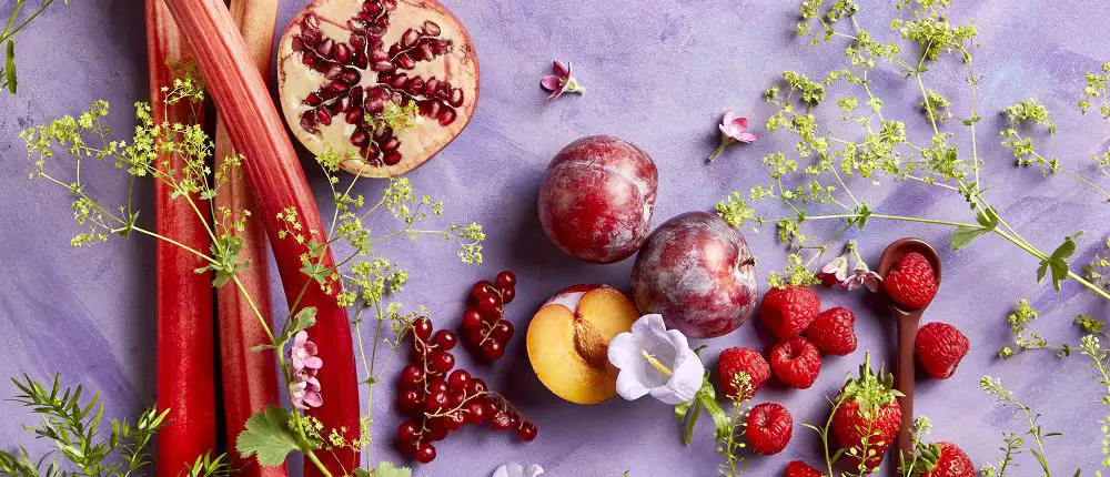 ekoplaza-biologisch-lekkerweten-zomer2024-zomerfruit