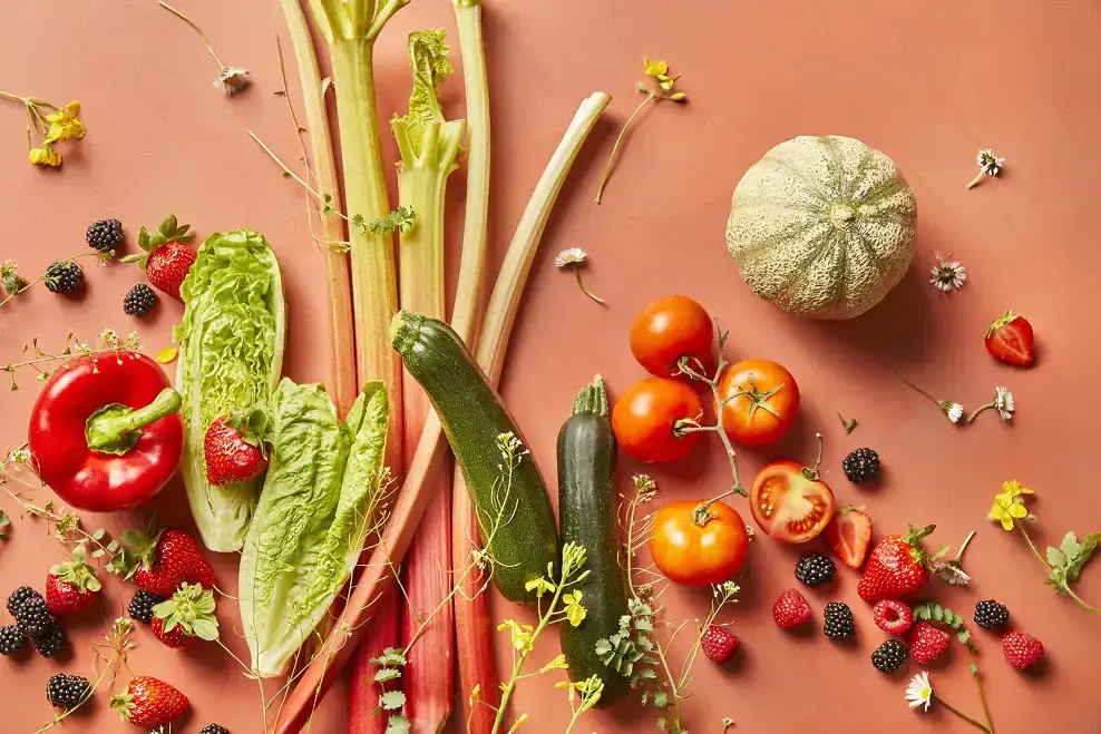 ekoplaza-biologisch-lekkerweten-zomer2025-seizoensgroenten