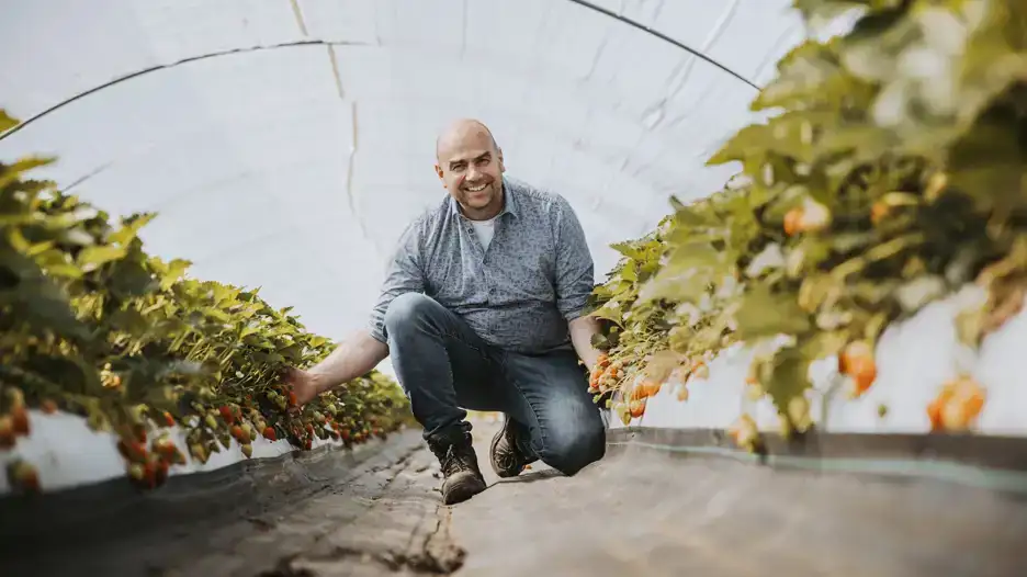 ekoplaza-biologisch-johantielen-aardbeien-spinazie-teler-boer
