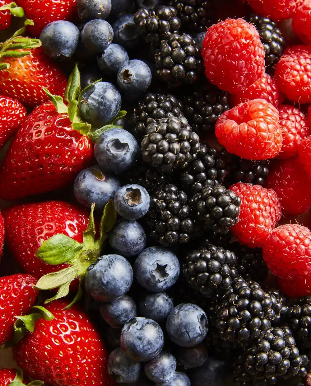 Biologisch omerfruit: aardbeien, blauwe bessen, bramen en frambozen