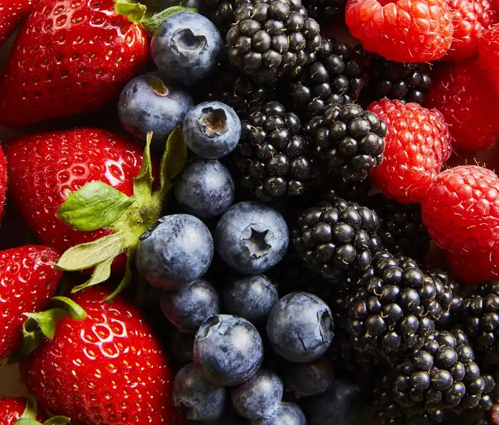 Biologisch zomerfruit: aardbeien, blauwe bessen, bramen en frambozen