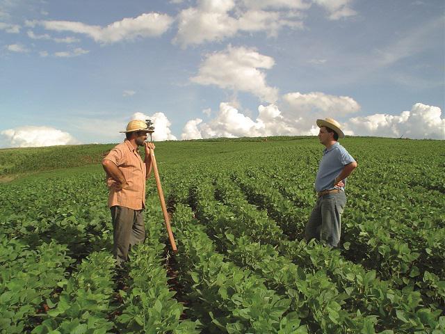palmolie-platteland-brazilië