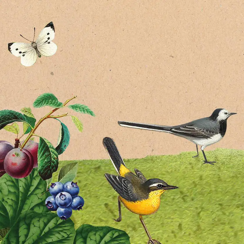 ekoplaza-biologisch-principieel_1950x840px3