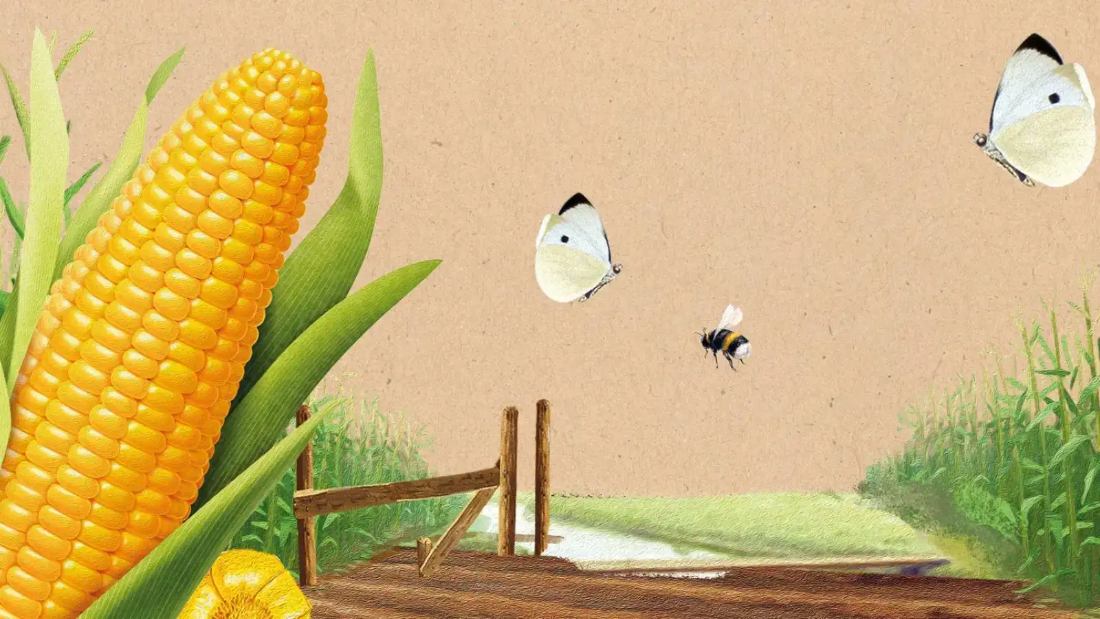 Bij Ekoplaza gebruiken we geen chemische bestrijdingsmiddelen. Ook niet een beetje.