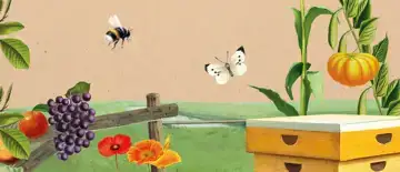 In ons huismerk vind je geen palmolie, ook niet een beetje