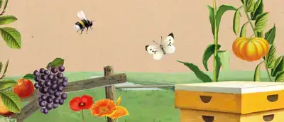 In ons huismerk vind je geen palmolie, ook niet een beetje