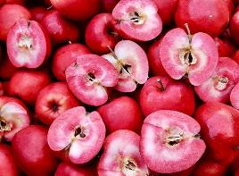 ekoplaza-biologisch-redlove-appel-rood-natuur