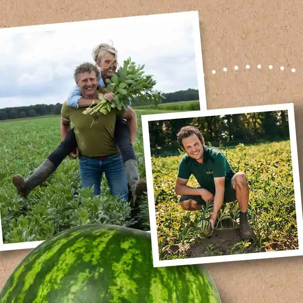 Ekoplaza telers met seizoensproducten