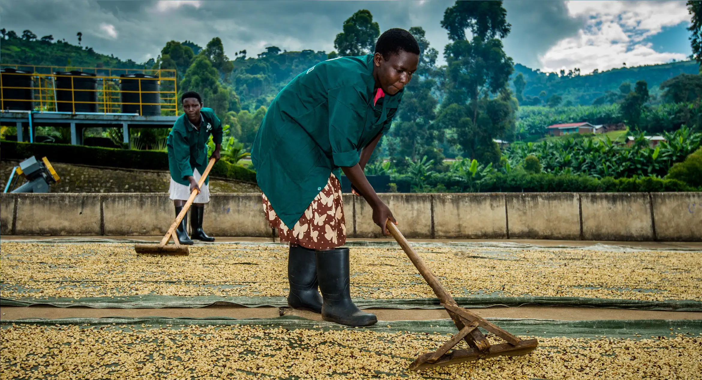 simonlevelt-theedrogen