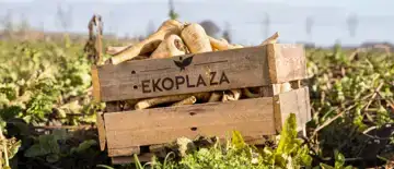 Ekoplaza opnieuw duurzaamste supermarkt volgens consumenten in Sustainable Brand Index 2026