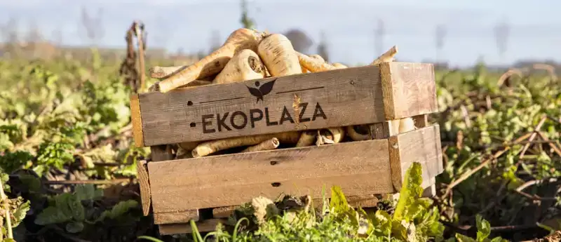 Ekoplaza opnieuw duurzaamste supermarkt volgens consumenten in Sustainable Brand Index 2026
