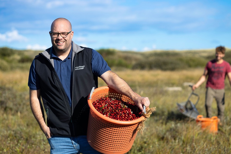 Cranberry fields forever: de supergezonde bes die heel Nederland verovert