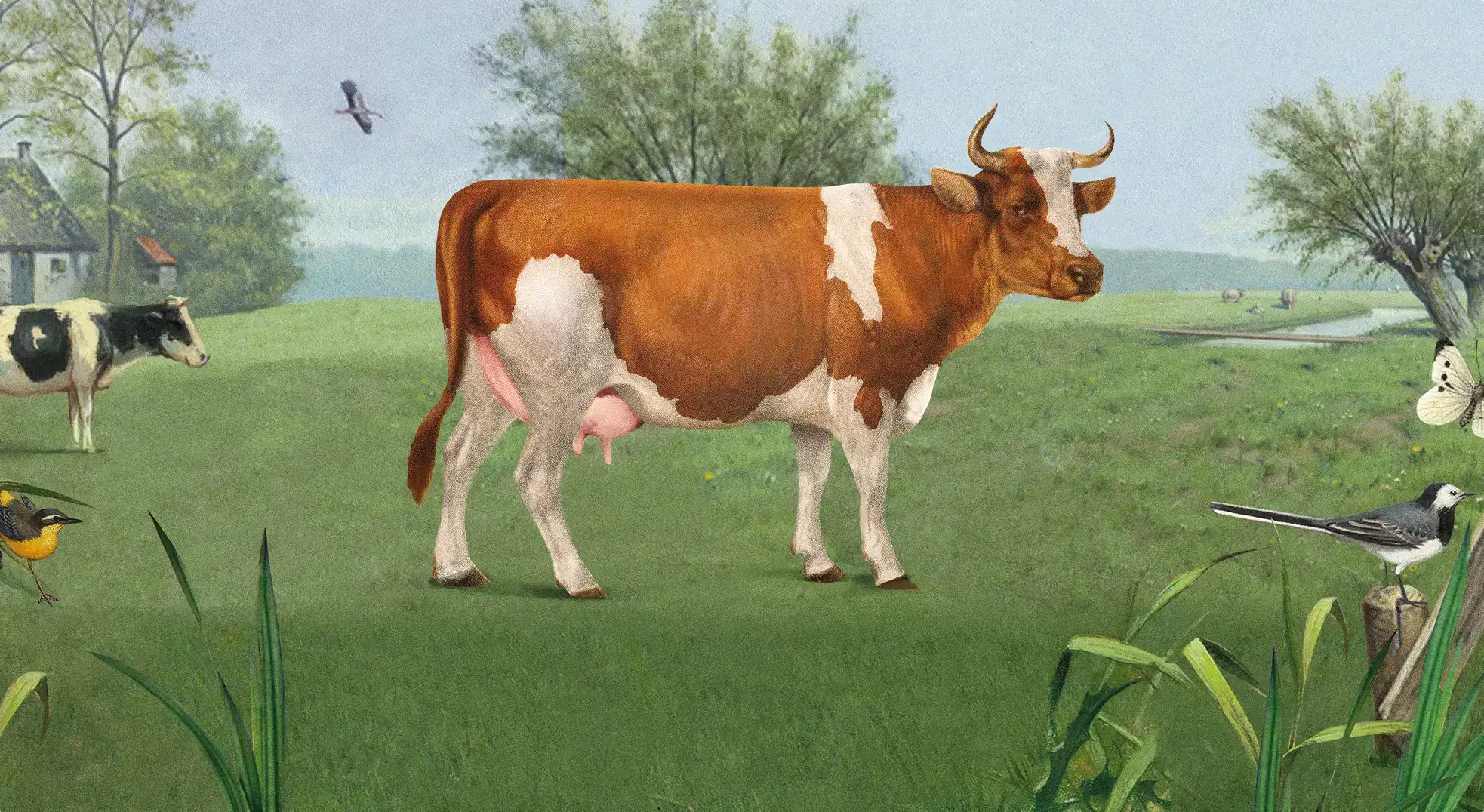 terugnaarbeter