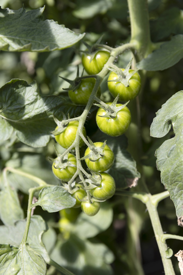 Op microniveau: een uniek over gezondheid