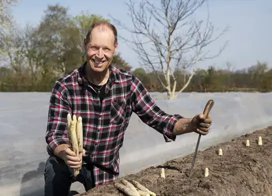 Seizoensgroenten uit de lente Seizoensgroenten uit de lente