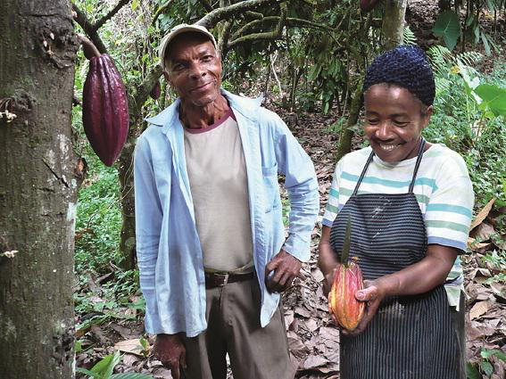 ekoplaza-biologisch-vivani-cacaoverbouwen-1