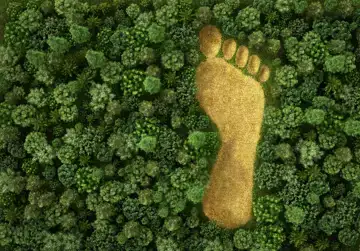 Interview met agro-ecologisch onderzoeker Wijnand Sukkel