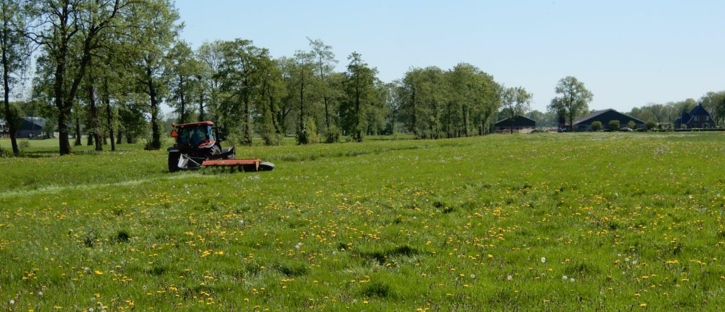 vogelvriendelijke-kaas