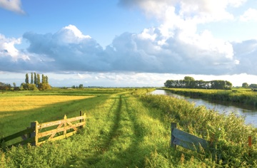 Hoe onze boeren en telers omgaan met de warmte?