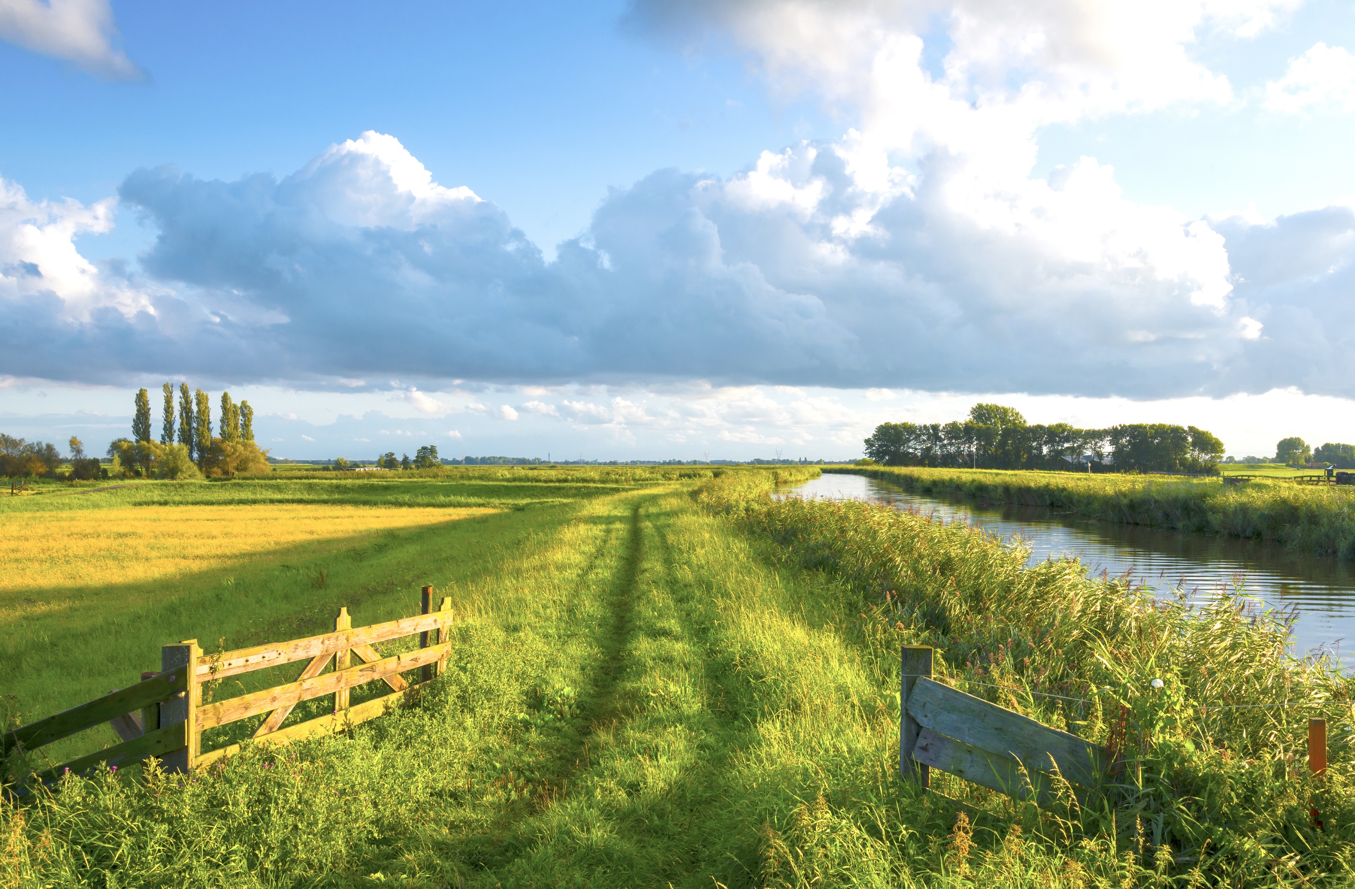 Hoe onze boeren en telers omgaan met de warmte?