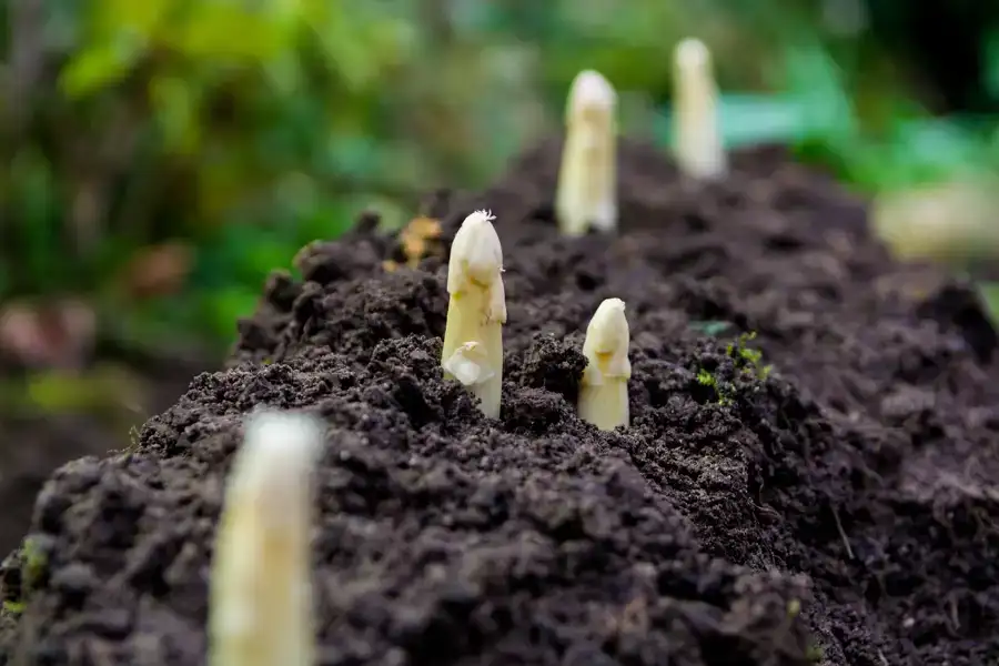 Boeren in omschakeling ondersteunen