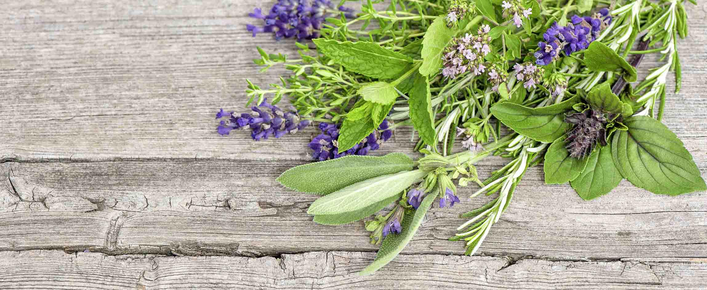 yogi-tea-alkaline-herbs