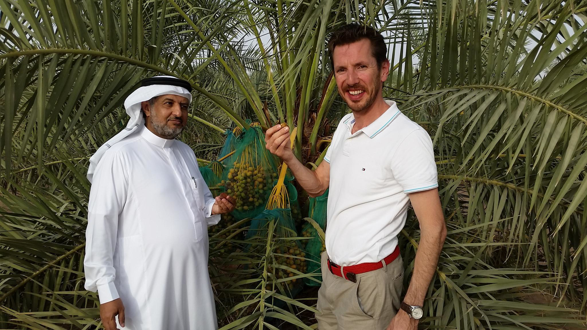 yogiyousef-yogi-en-yousef