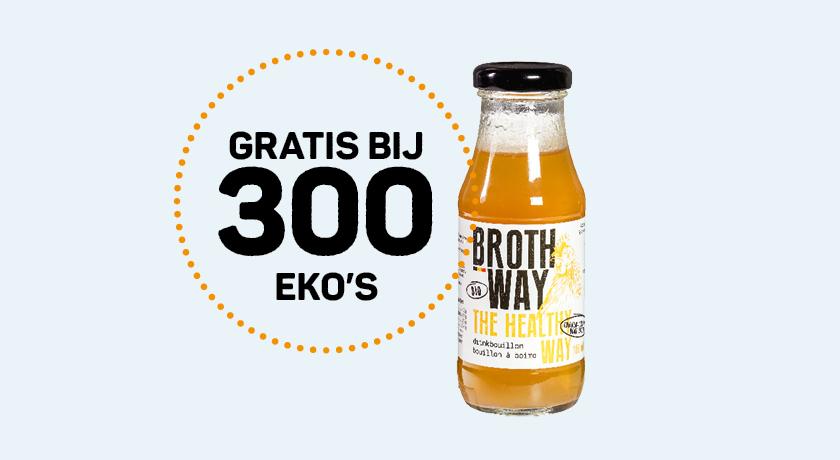 eko-chips