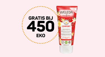 eko-gimber