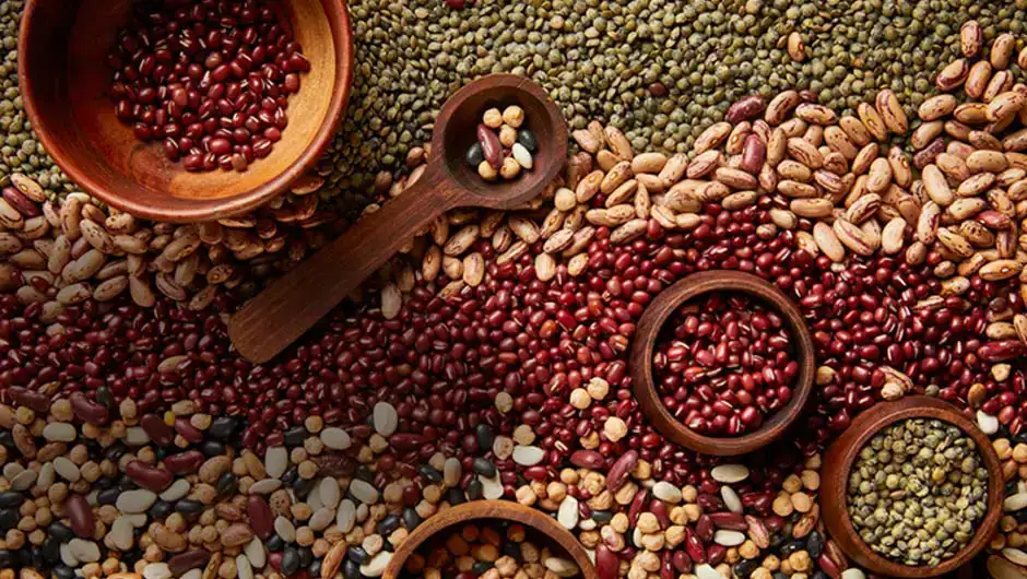 epnl_homebanner_peulvruchten