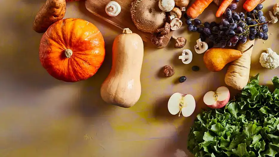 epnl_homepage_banner_lw_herfst