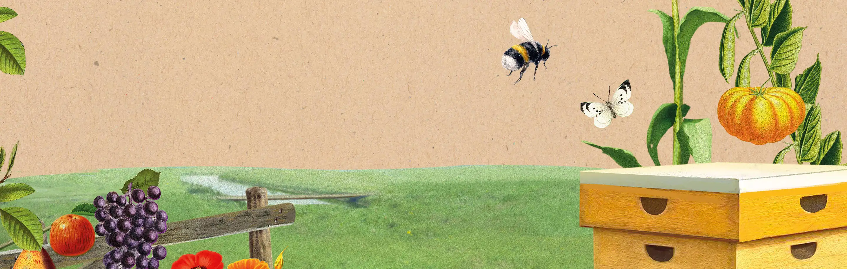 Ekoplaza-biologisch-Principieelvooreenbeterewereld-header-koe-boer Een tekening van een boer met een koe op gras, met aan de zijkant pompoenen