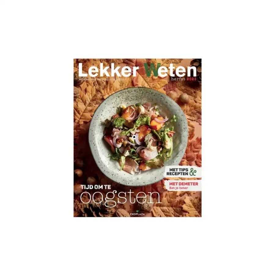ontwerp-zonder-titel-2025-05-06t160525125