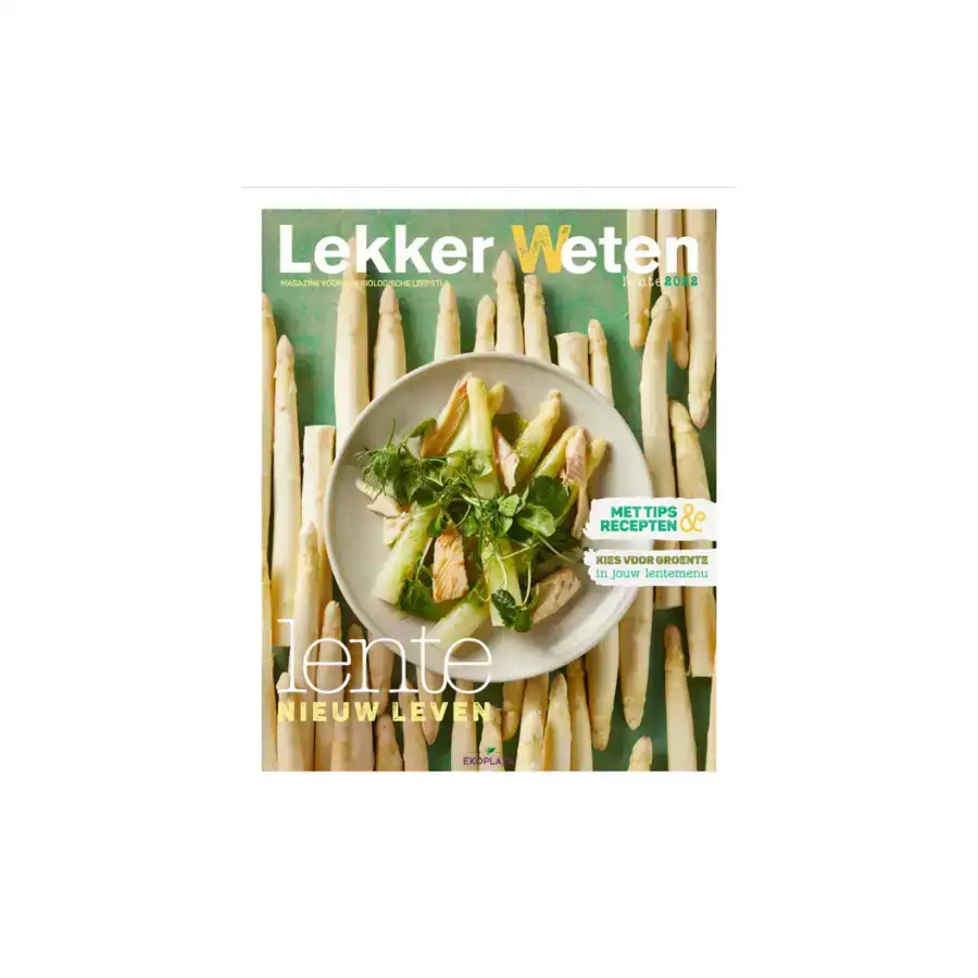 ontwerp-zonder-titel-2025-05-06t161457596