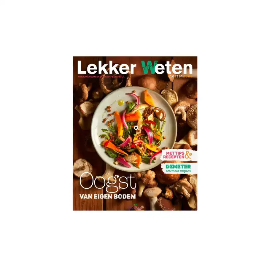ontwerp-zonder-titel-2025-05-06t161543970